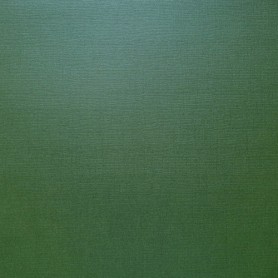 Textured Pearl Cardstock 30,5x30,5 cm  DARK GREEN