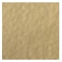 WOW! Embossing Powder - Polished Gold